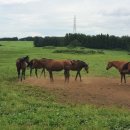 성경목장 이미지