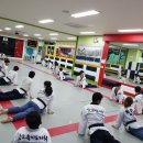 참교육태권도 이미지