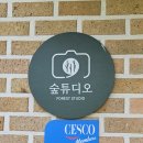 숲튜디오 이미지