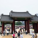 ♀️💨 (+경복궁🏯, 국립고궁박물관🏛️, 창경궁 물빛연화🌠, 거북이의꿈🍜, 아티스트베이커리🥐, 목음당🍨,2만보🏃‍♀️👟)