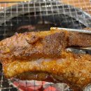 하대동120 | [진주 하대동 맛집] 진주 쪽갈비 맛집 쪽쪽갈비 양념인가? 간장인가? 3인분 먹고 비교해본 솔직후기🍖