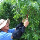 지산초등학교 이미지