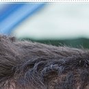 마디한방병원 이미지