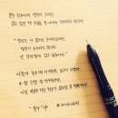 팰럿 이미지