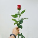 연세프라임병원 이미지