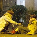 식물도감 이미지