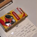 젠 하우스 | [경기/가평] 야외 노천탕 감성 숙소 '플러팅웨일 가평' 젠 스파 하우스 302호 내돈내산 후기