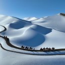 금주 보도사진: 눈 덮인 사구(沙丘), 오로라(北極光), 플라톤의 동굴우화 이미지