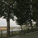 송정제방 이미지