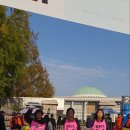 [피켓팅] 교육부, 국가교육위원회 종합감사 대응 피켓팅 이미지