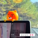 경포해변중앙통로 | 당일치기 후기(+고씨네동해막국수/경포습지교류대...로사 사천점/사근진해변 무지개 방파제/강릉 중앙시장)