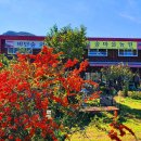 비단강숲마을 이미지