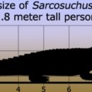 사르코수쿠스 이미지