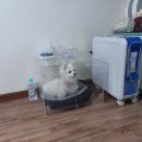 씨엔비헬스케어 이미지