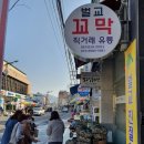 벌교꼬막 직거래 유통 이미지