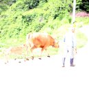 산수리 마을회관 이미지