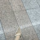 헤이에스 이미지