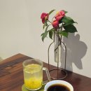 카페 콩가 | 제천 카페 추천 아브리에쎄르 의림지 근처 로스팅 카페 방문 후기