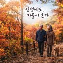 이수만 카카오 검색결과