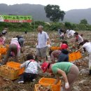 남제천영농 이미지