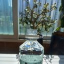 여우메디 이미지