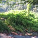 합성동103 이미지