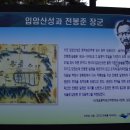 전봉준로 Daum카페