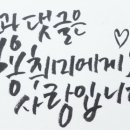 베르니프로젝트 이미지