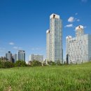 동백부동산공인중개사사무소 이미지