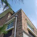 안중파랑새유치원 이미지