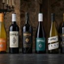 아영푸드 이미지