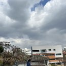 반려견 마당 대여 이젠 앱으로 편하게! 포동 멍래블로 &#39;뭉게뭉게 구름산빌리지&#39; 방문 후기