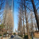 엠투어리스트 이미지