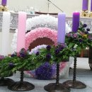 대림초등학교 이미지