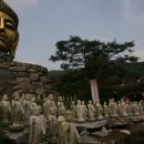 남국목장 이미지