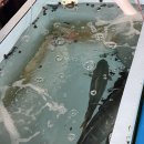 안녕동복자리편의점 | 제주도 해녀 맛집 동복해녀해산물직판장┃추운 겨울에도 바닷가 야장에서 먹은 내돈내산 후기