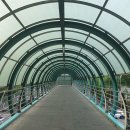 샘모루초교 이미지