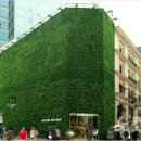 명동8길 이미지