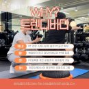 트렌디바디 이미지