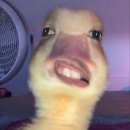 명옥헌한의원 | 명옥헌 한의원 양악시술(리프팅)-내돈내산