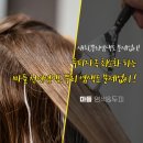 크린토피아 상계점 | [마들 천연 염색방] 두피 자극 최소화하는 마들 천연염색, 뿌리 염색도 문제없이!