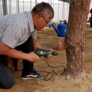 조경기능사 이미지