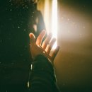 [심리상담후기] 언젠가 핀다, 꽃도 사람도, 이제는 당신이 꽃 필 무렵 · 제주심리상담 · 제주성인상담...