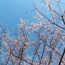 한아름홈쇼핑(주) 이미지