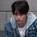 플랜피 이미지