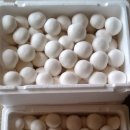 용복농장 이미지