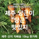 몽땅365