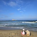 고성국화꽃향기 | 36개월 아기랑 가기 좋은 곳 : 강원도 여행 / 고성 국화꽃 향기 / 애견 동반 펜션 /강아지 세 마리 가능