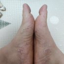 화이트비뇨기과의원 이미지