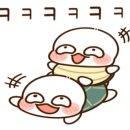 이담수족관 이미지